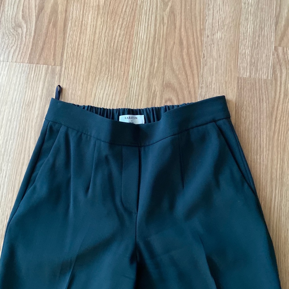 Aritzia Babaton Conan Pant